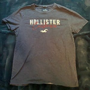 Hollister Short Sleeve T-Shirt